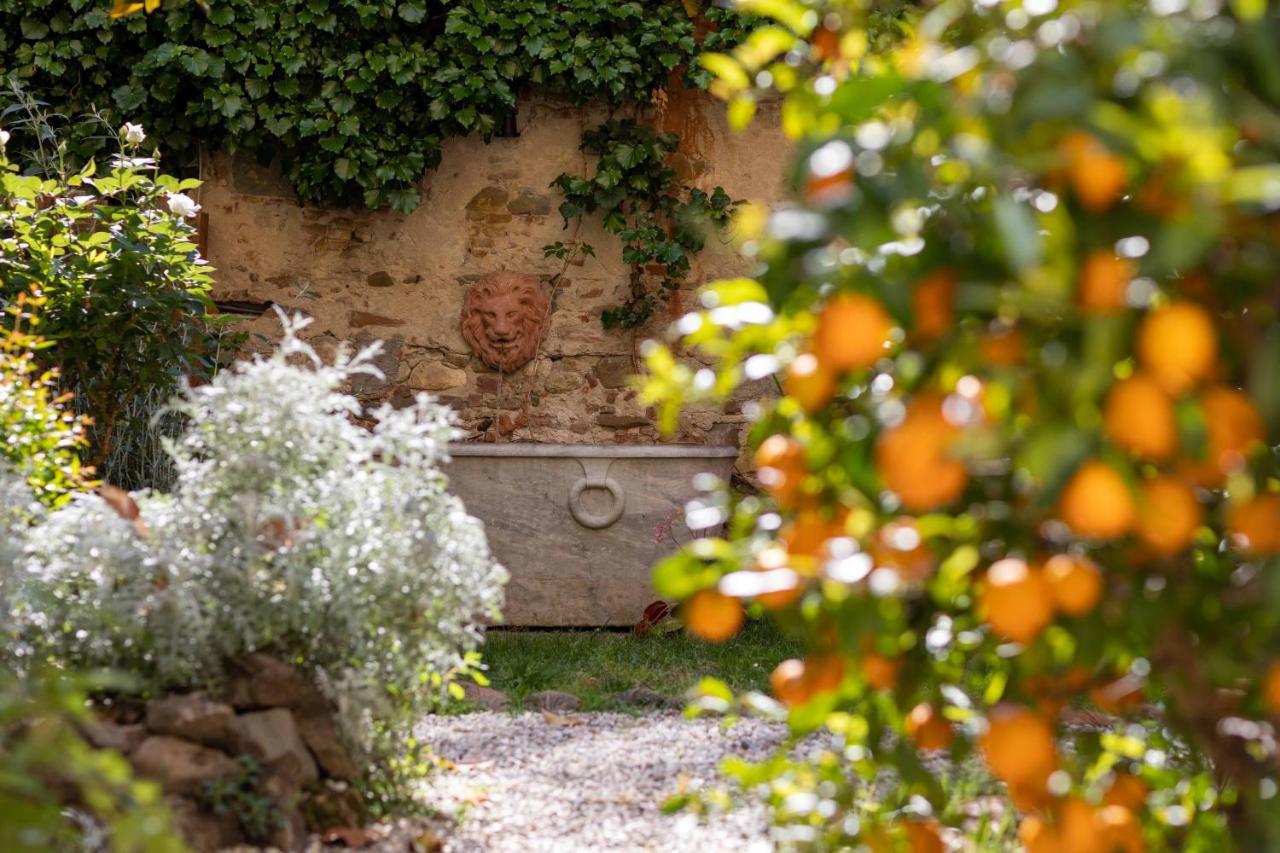 Secret Garden Firenze B&B Zewnętrze zdjęcie