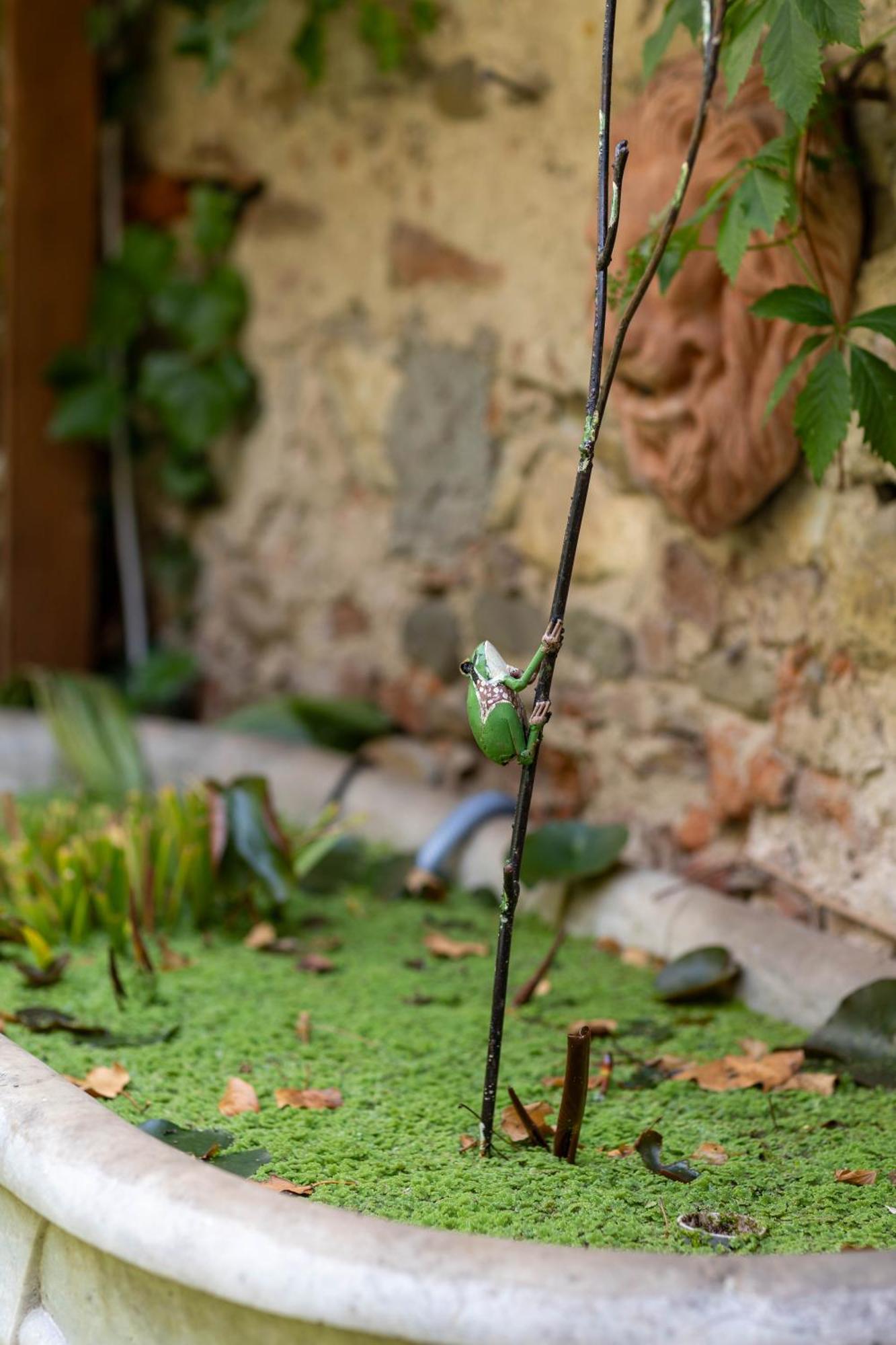 Secret Garden Firenze B&B Zewnętrze zdjęcie
