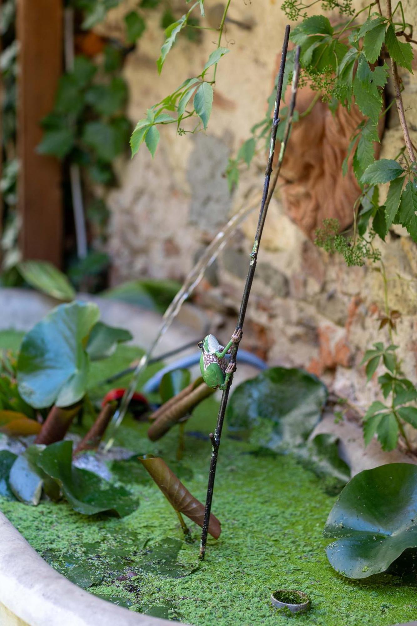 Secret Garden Firenze B&B Zewnętrze zdjęcie