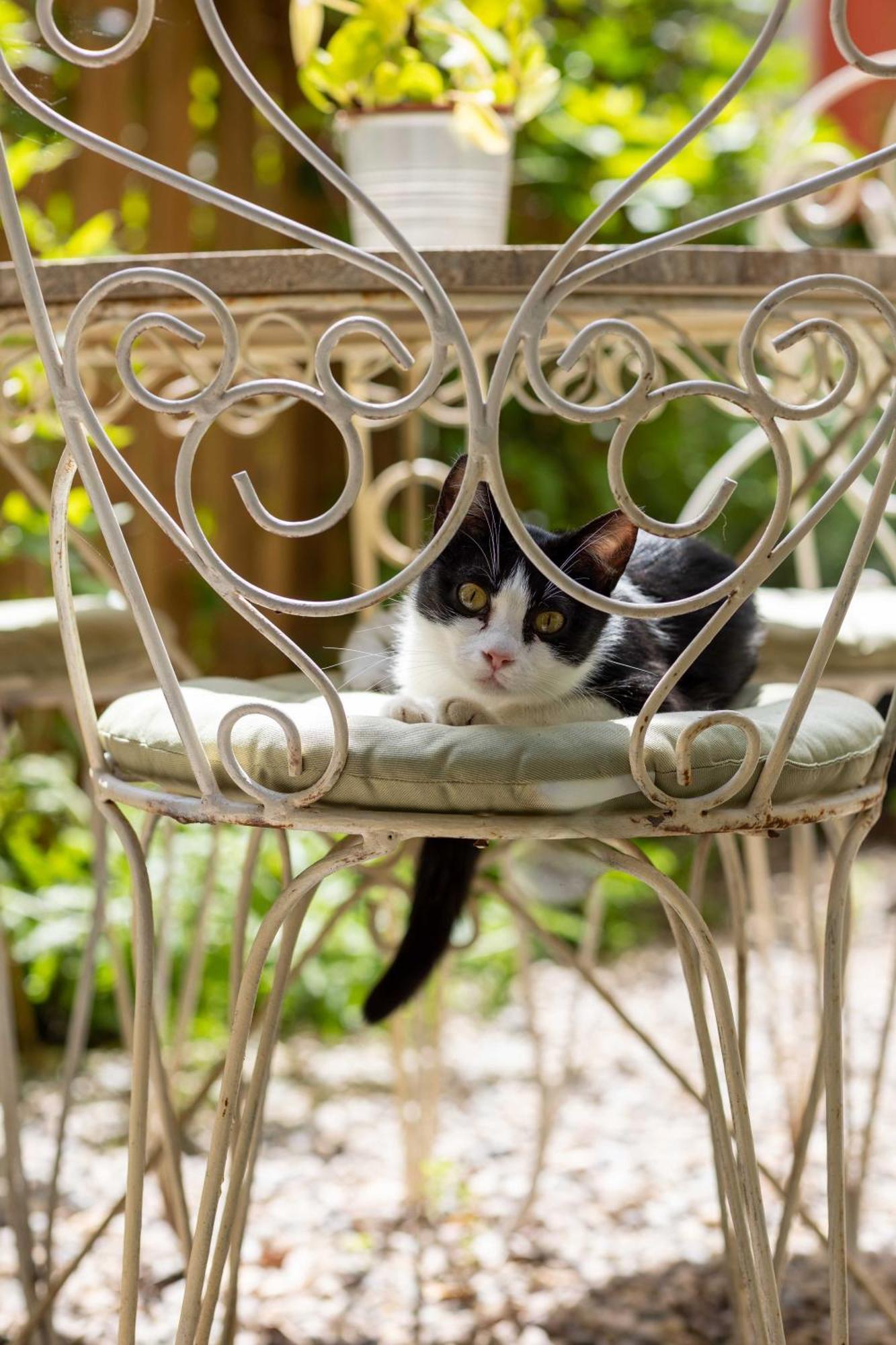 Secret Garden Firenze B&B Zewnętrze zdjęcie